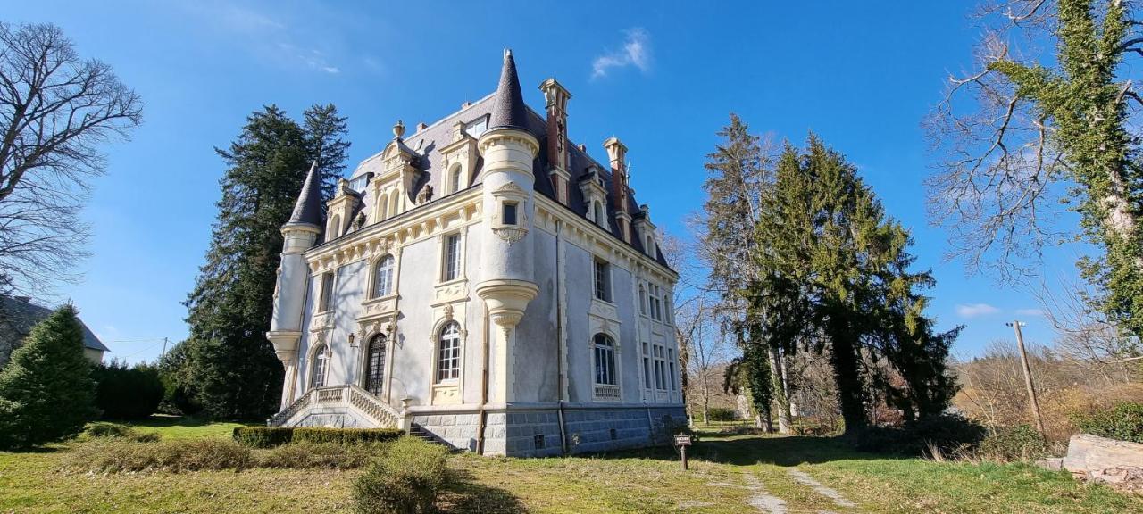 Chateau De Chazelpaud Saint-Bard 外观 照片